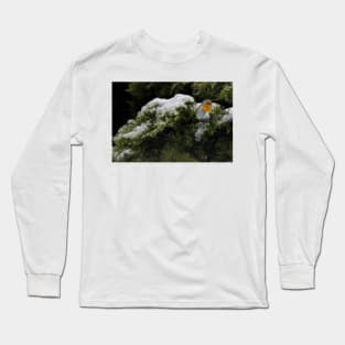 Robin in the winter Long Sleeve T-Shirt